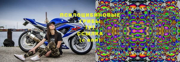 твердый Богородск