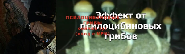 скорость Богданович